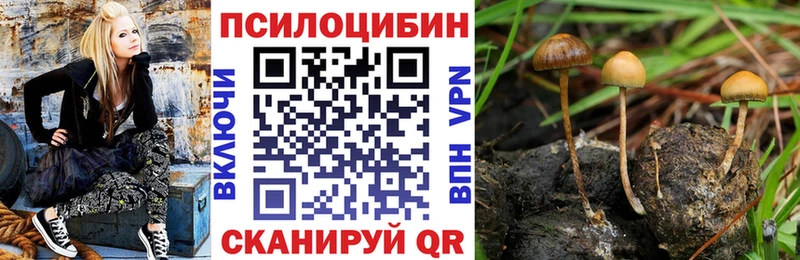 Псилоцибиновые грибы Cubensis  Купить закладки  Шумерля 